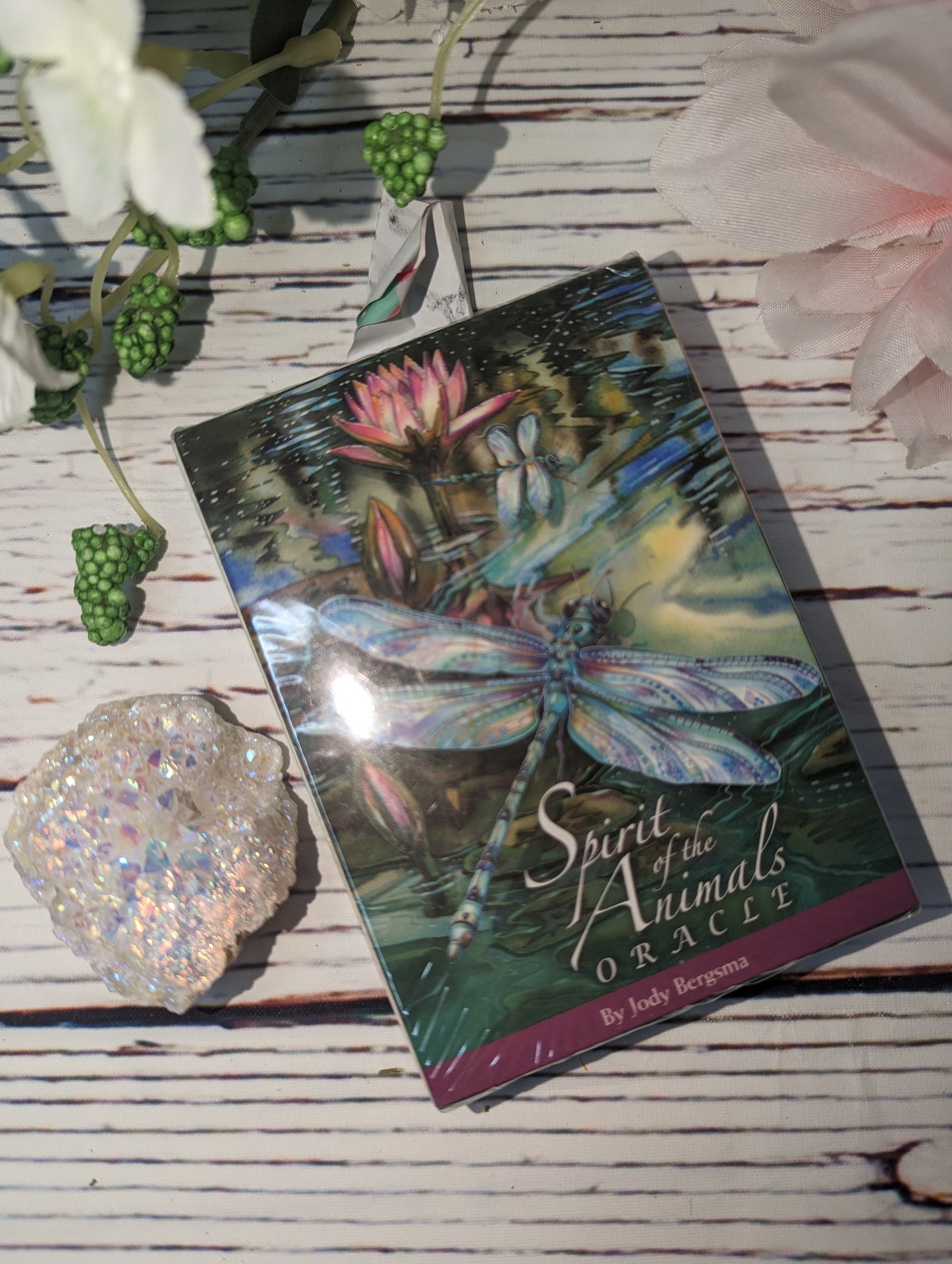 Spirit of the Animals Oracle Cards